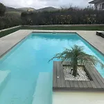 Paradise Silvia