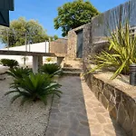 Paradise Silvia